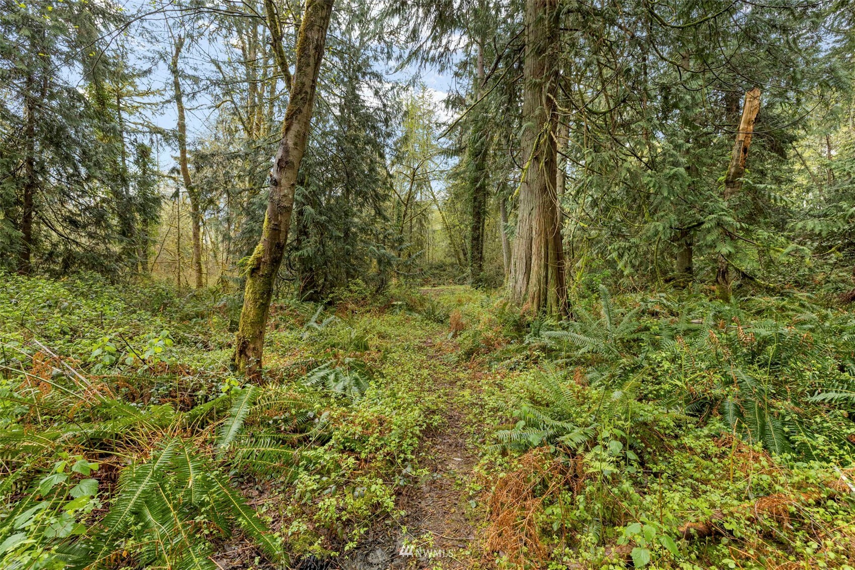 Property Photo:  720 8th Avenue  WA 98333 