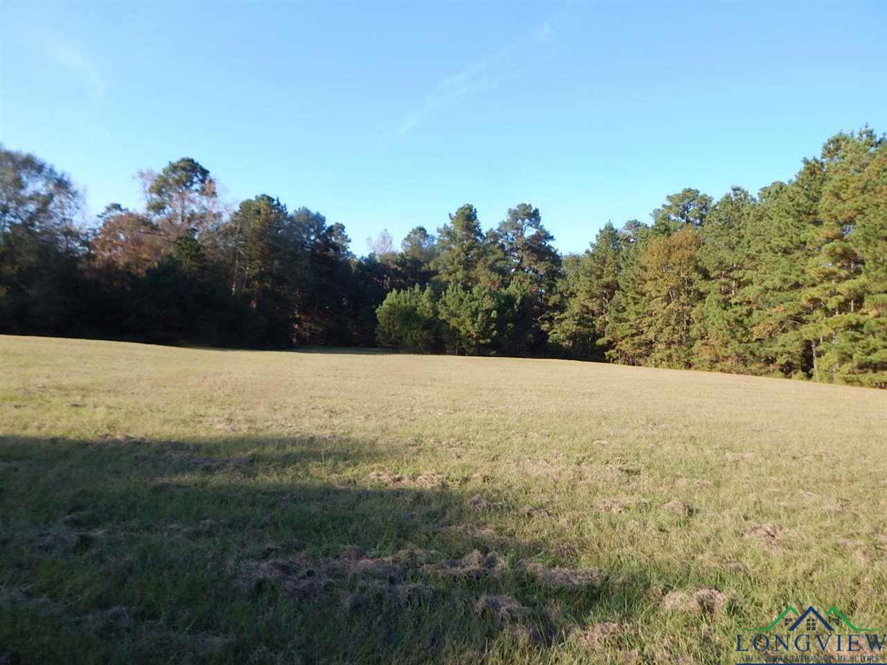 Property Photo:  Tbd 13.714 Acre Hollybrook Drive  TX 75645 