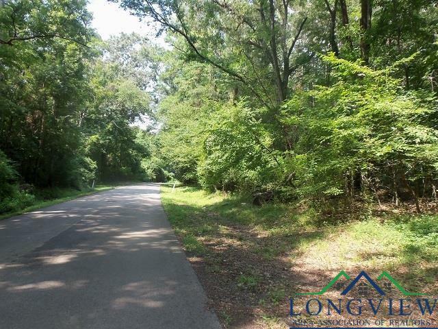 Property Photo:  Tbd--Lot 8 Willow Springs Road Lot 8  TX 75662 