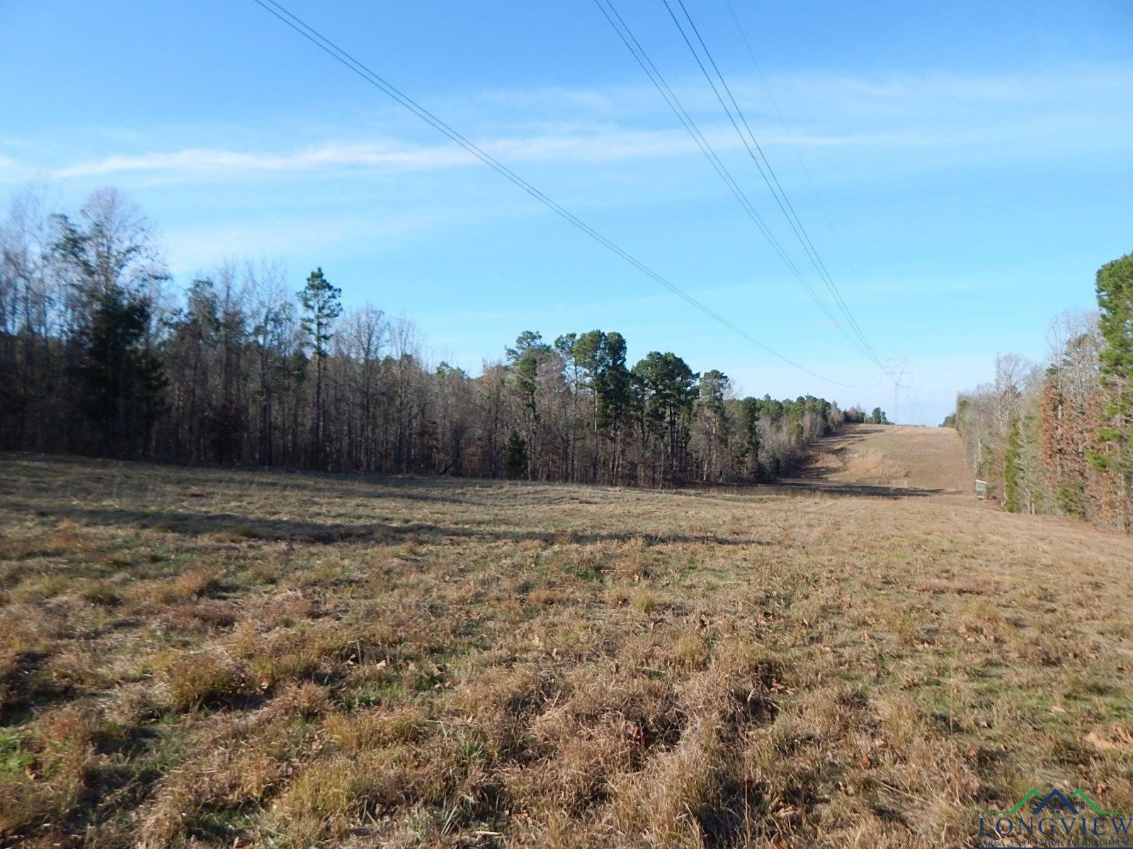 Property Photo:  Tbd 38.9 Ac Cr 1650  TX 75630 