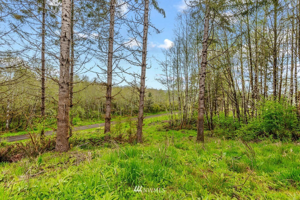 Property Photo:  135 Elochoman Valley Road  WA 98612 