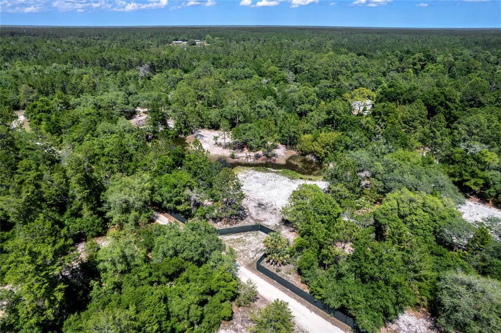 Property Photo:  Tree Farm Road  FL 32720 