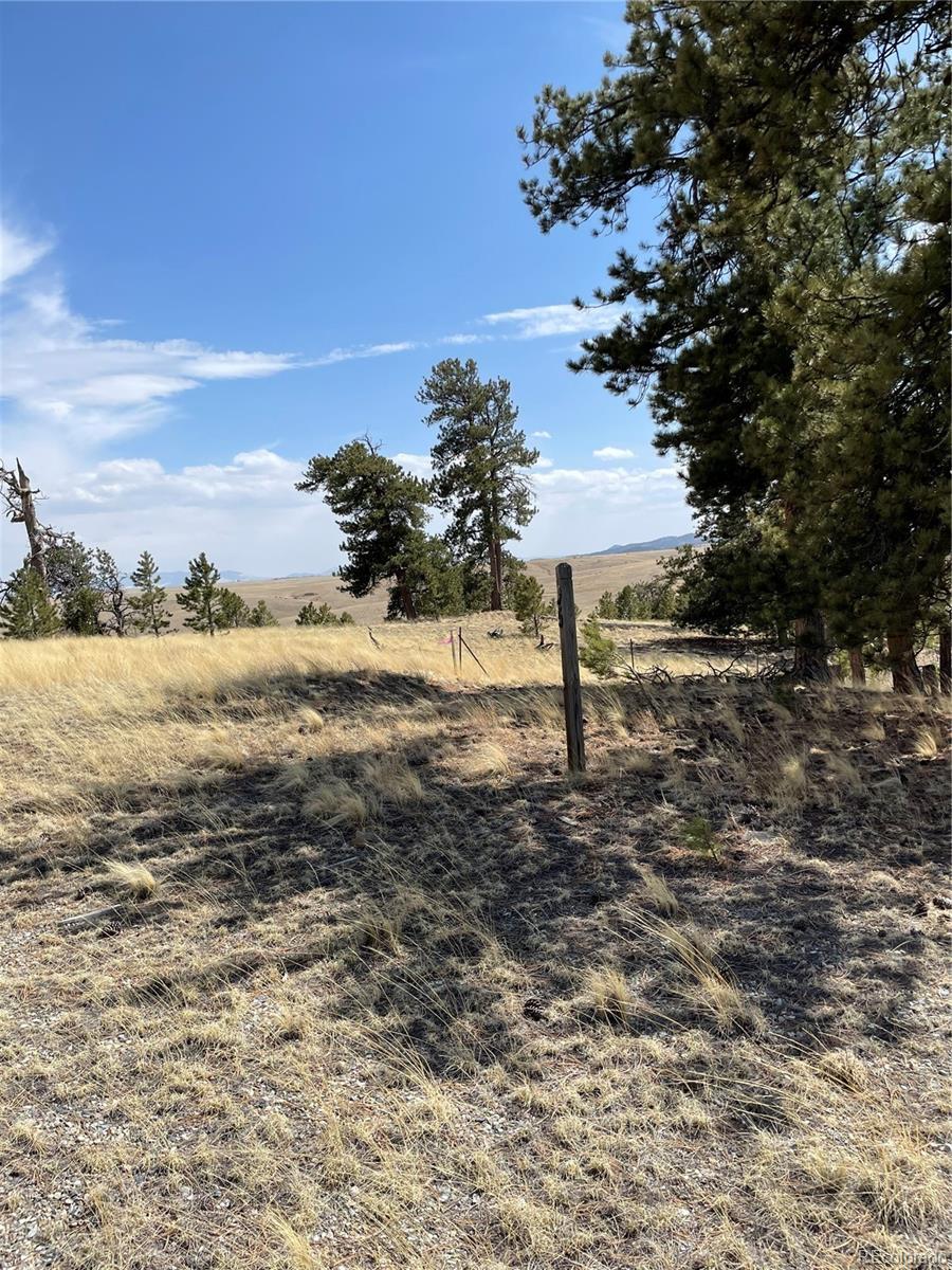 Property Photo: 95 Powder Way CO 80432