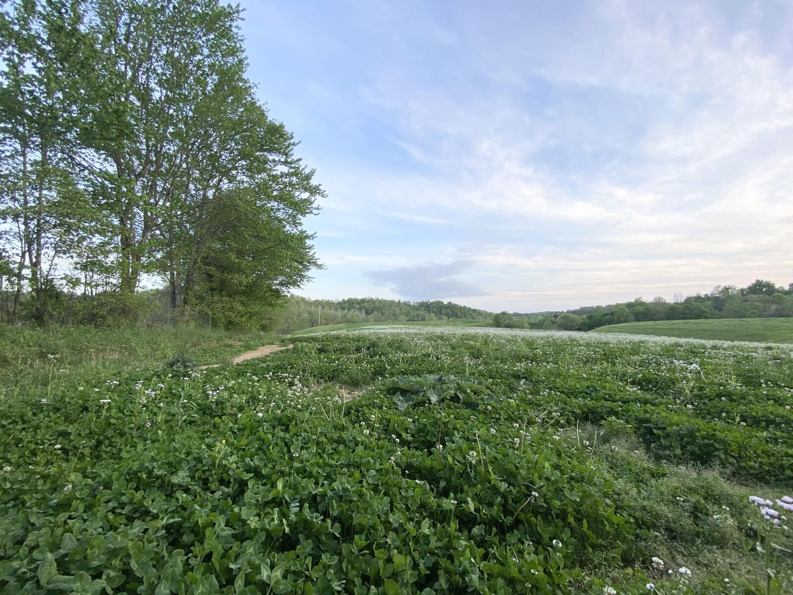 Property Photo: 1357 Alderson Branch Road KY 40402
