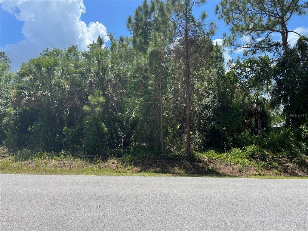 Property Photo:  Johannesberg Road  FL 34288 