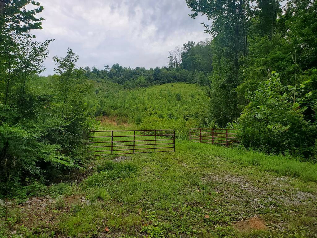 154 Acres County Road 651  Athens TN 37303 photo