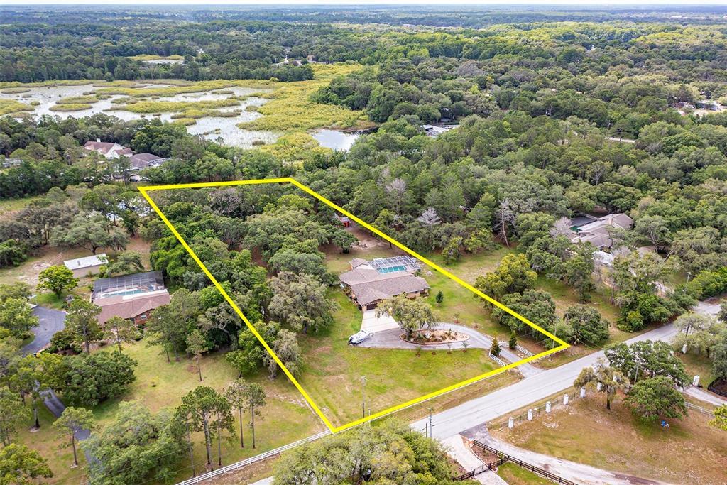 Property Photo: 9510 Hilltop Drive FL 34654