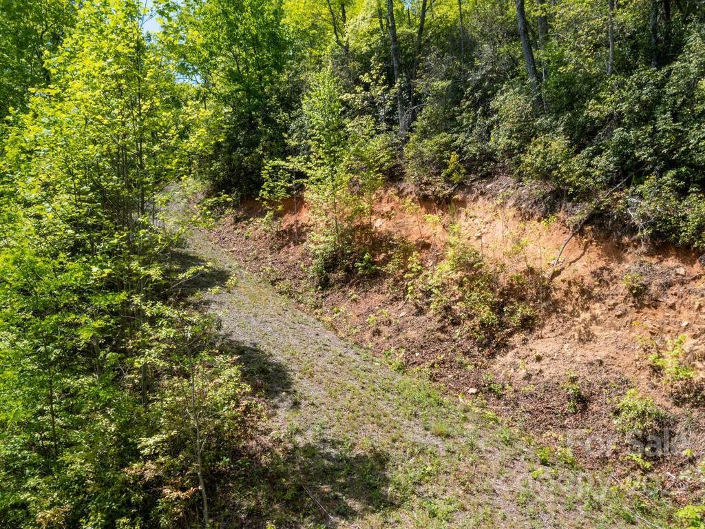 Property Photo:  10 Turkey Trot Trail  NC 28779 