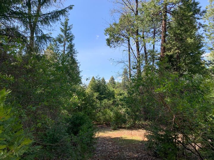 10 Acres Little John Way  Pollock Pines CA 95726 photo