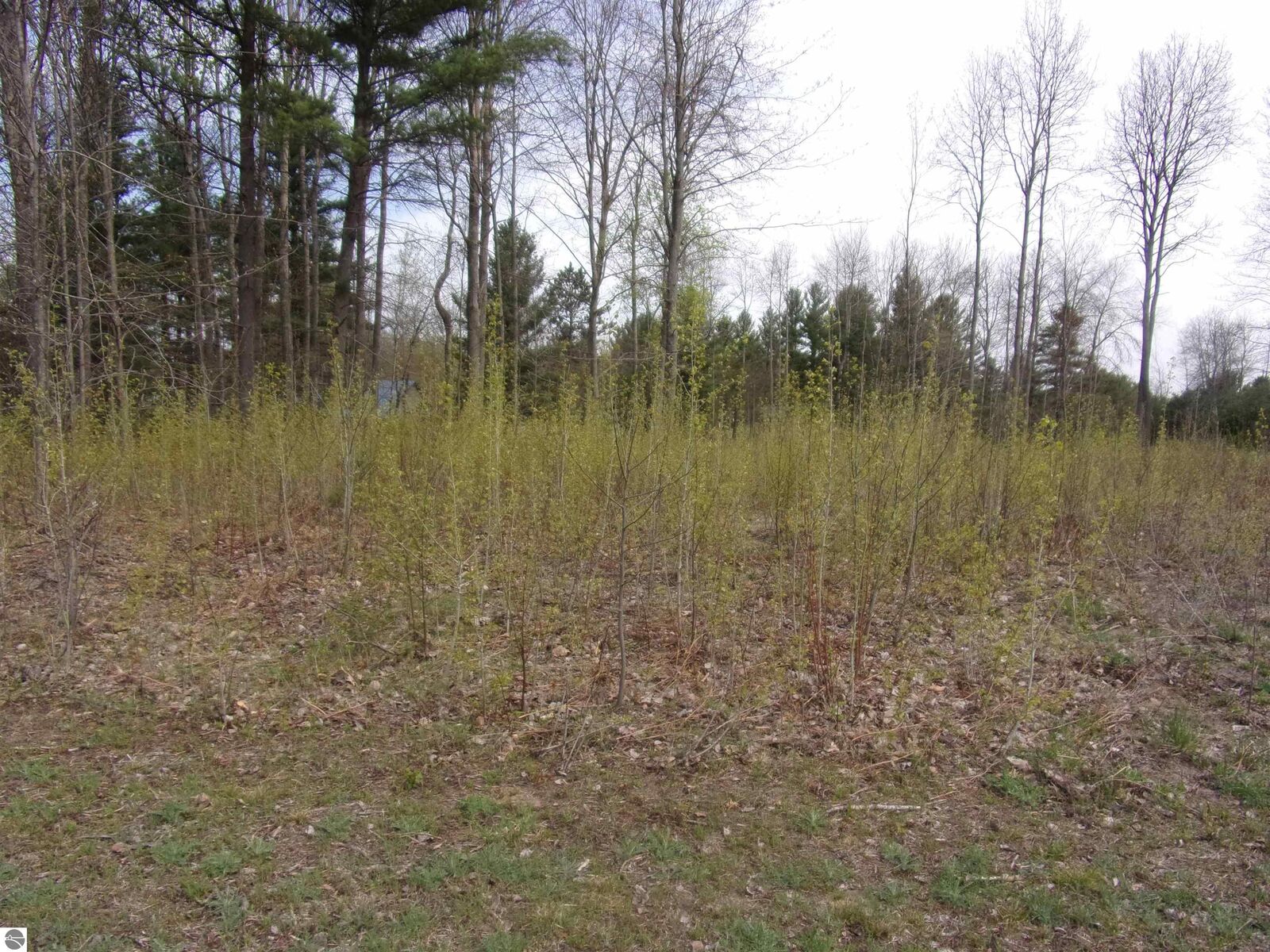 Property Photo:  Taxiway Golf West Street 3 Home Acres Sky Ranch #4  MI 49651 
