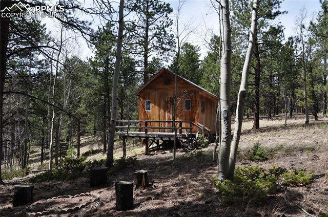 Property Photo:  1181 E Bison Creek Trail  CO 80814 