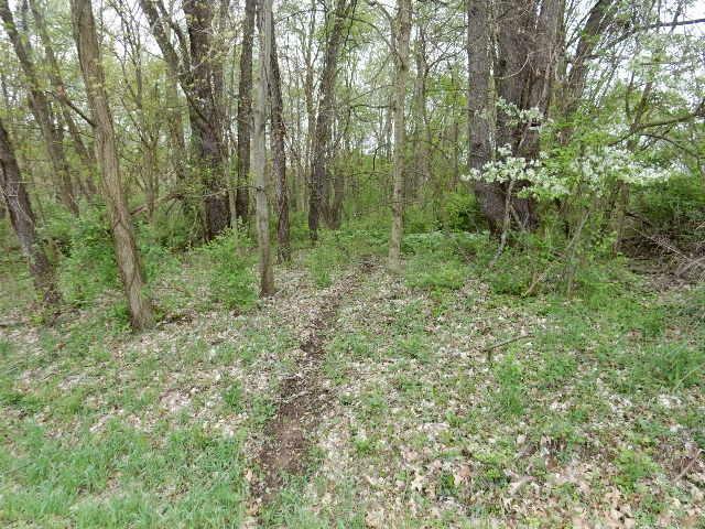 Property Photo:  0 Baldwin Drive Lot  414  OH 43028 