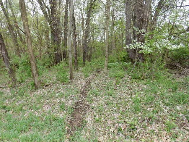 Property Photo: 0 Baldwin Drive OH 43028