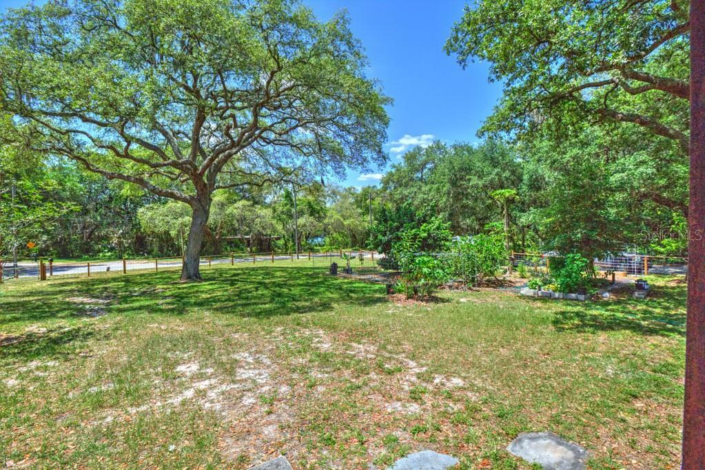 Property Photo:  3802 E River Hills Drive  FL 33604 