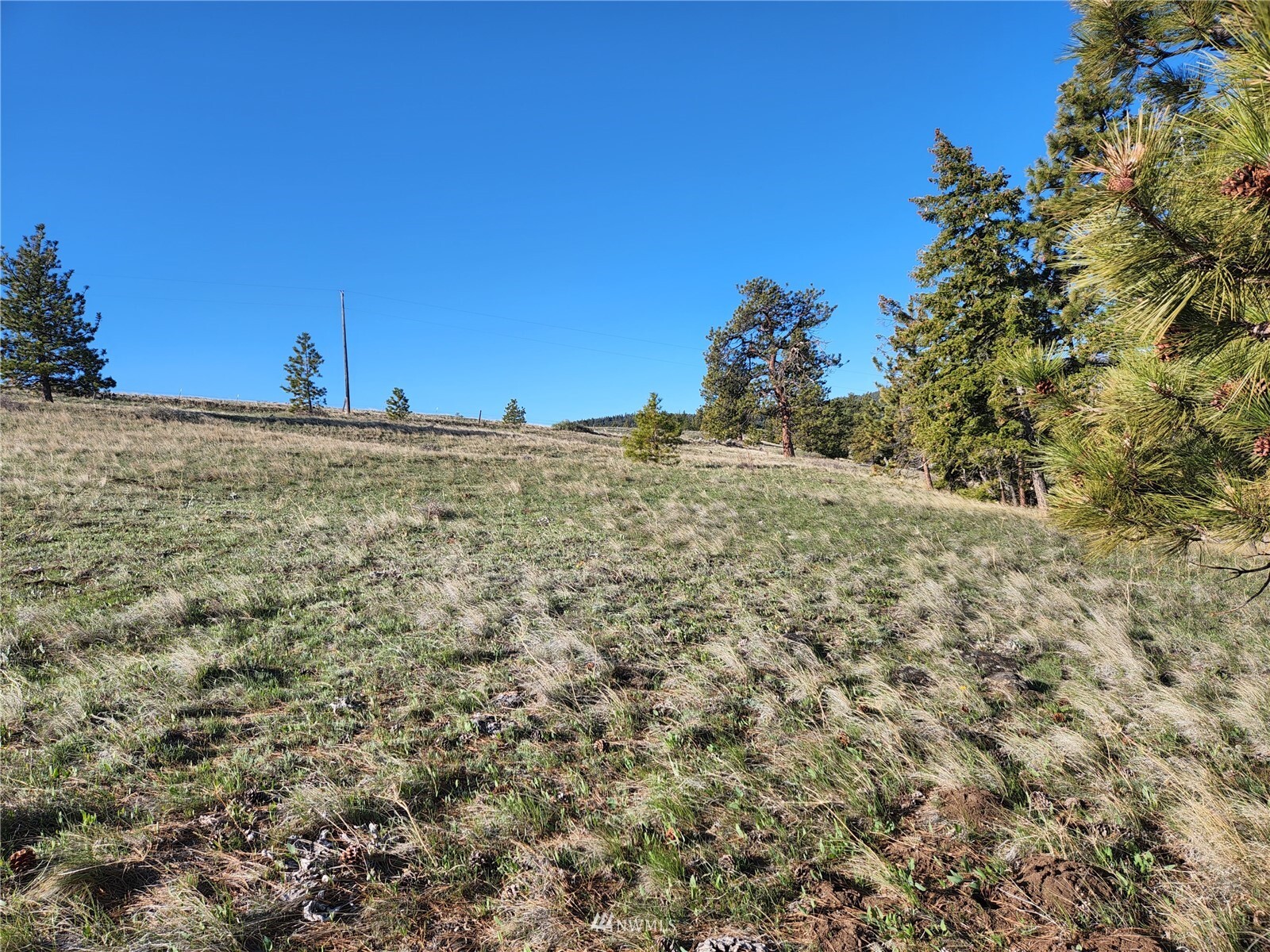 Property Photo: 0 Kingsbury Road WA 98828
