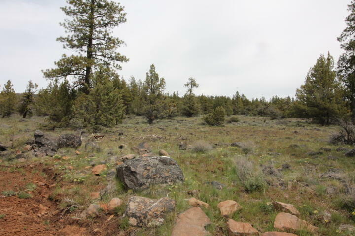 Property Photo:  Bluejay Drive Lot 12  OR 97623 