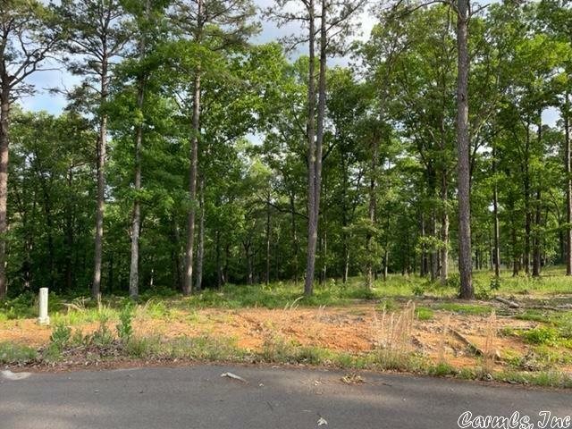 00 Empy Trail Lot 3  Conway AR 72034 photo