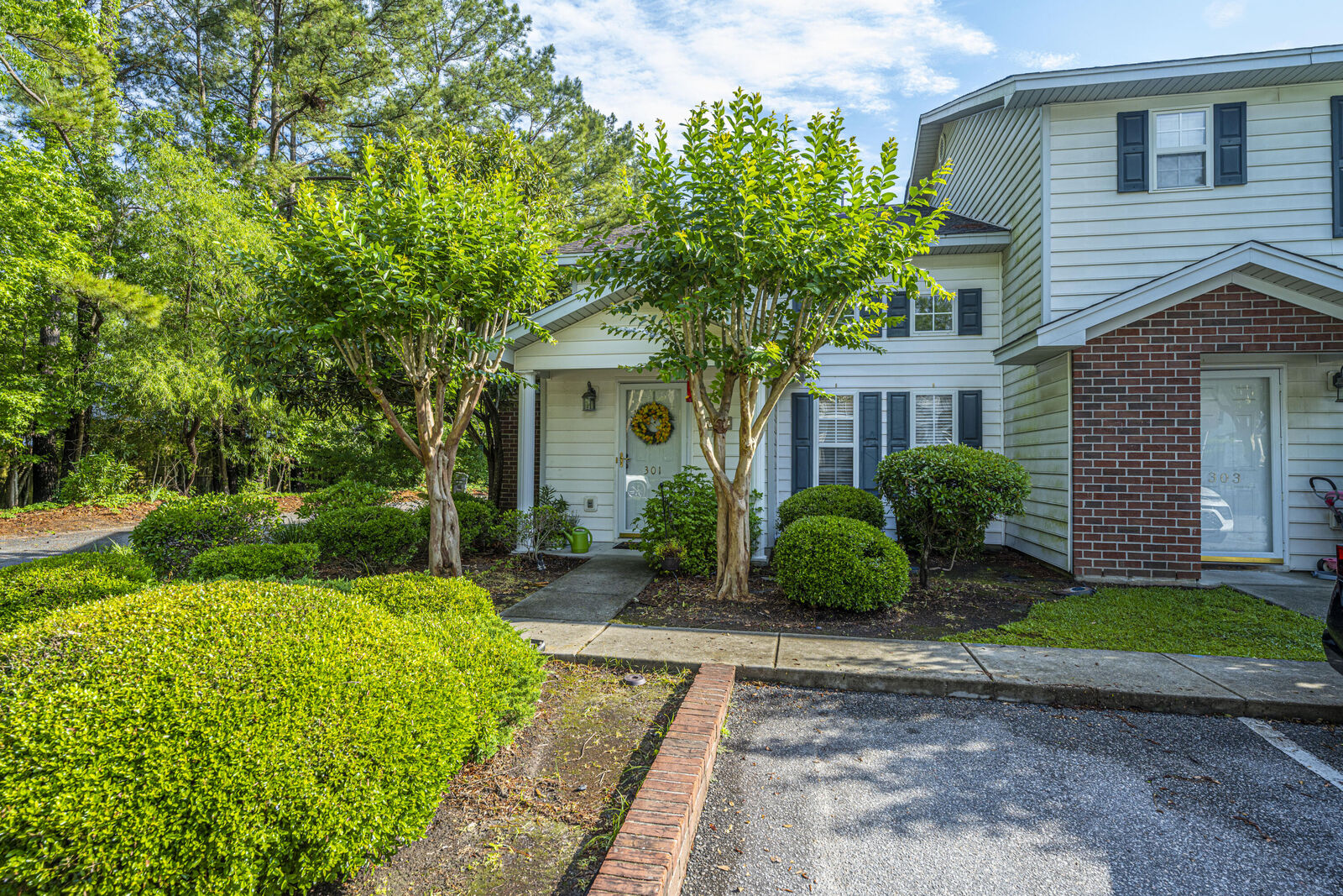 Property Photo: 301 Amberwood Drive SC 29483