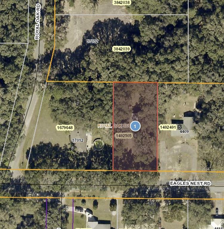 Property Photo:  Eagles Nest Road  FL 34731 