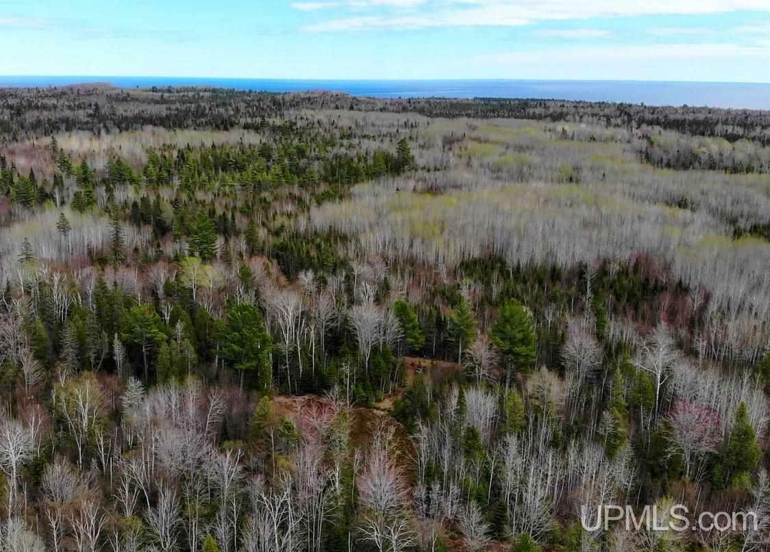 Property Photo:  Tbd Off Gay Lac La Belle Road  MI 49945 