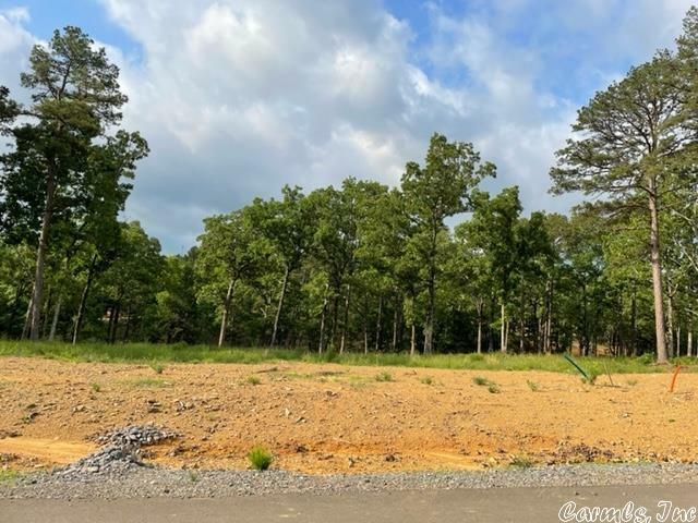 Orchard Hill Lot 15 Ph. 2  Conway AR 72034 photo