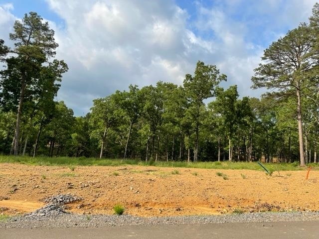 Property Photo:  Orchard Hill Lot 15 Ph. 2  AR 72034 