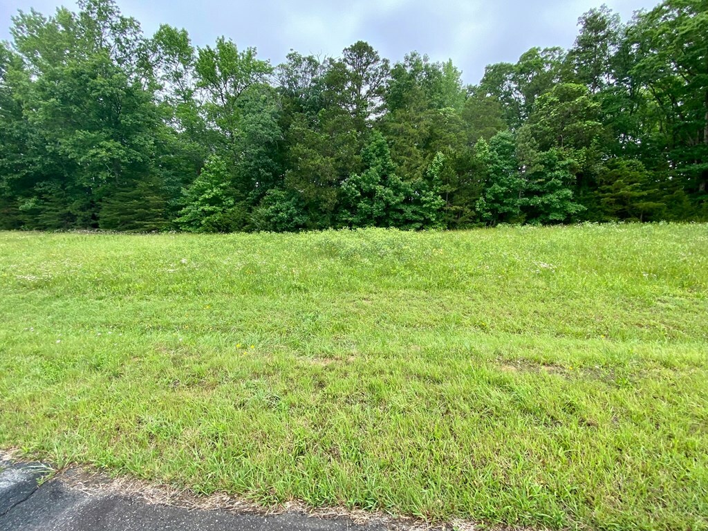 Property Photo:  Lot 7 Fern Ridge  VA 23927 