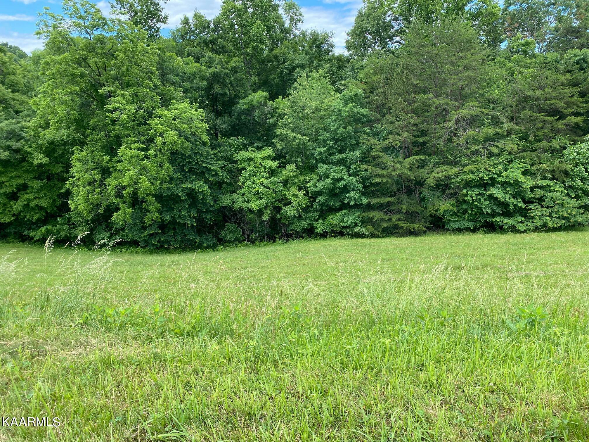 Property Photo:  Lot 257 Marble Point Way  TN 37825 