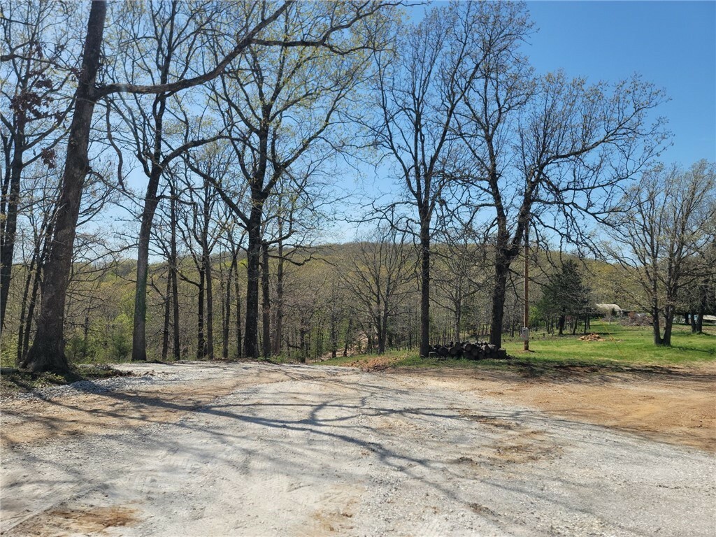 15496 Low Gap Road  West Fork AR 72774 photo