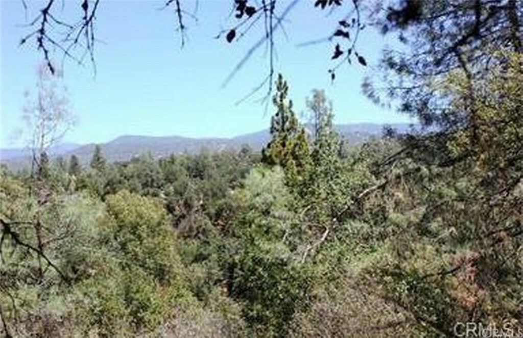 Property Photo:  0 3.31 Ac Meadowwood Road  CA 93644 