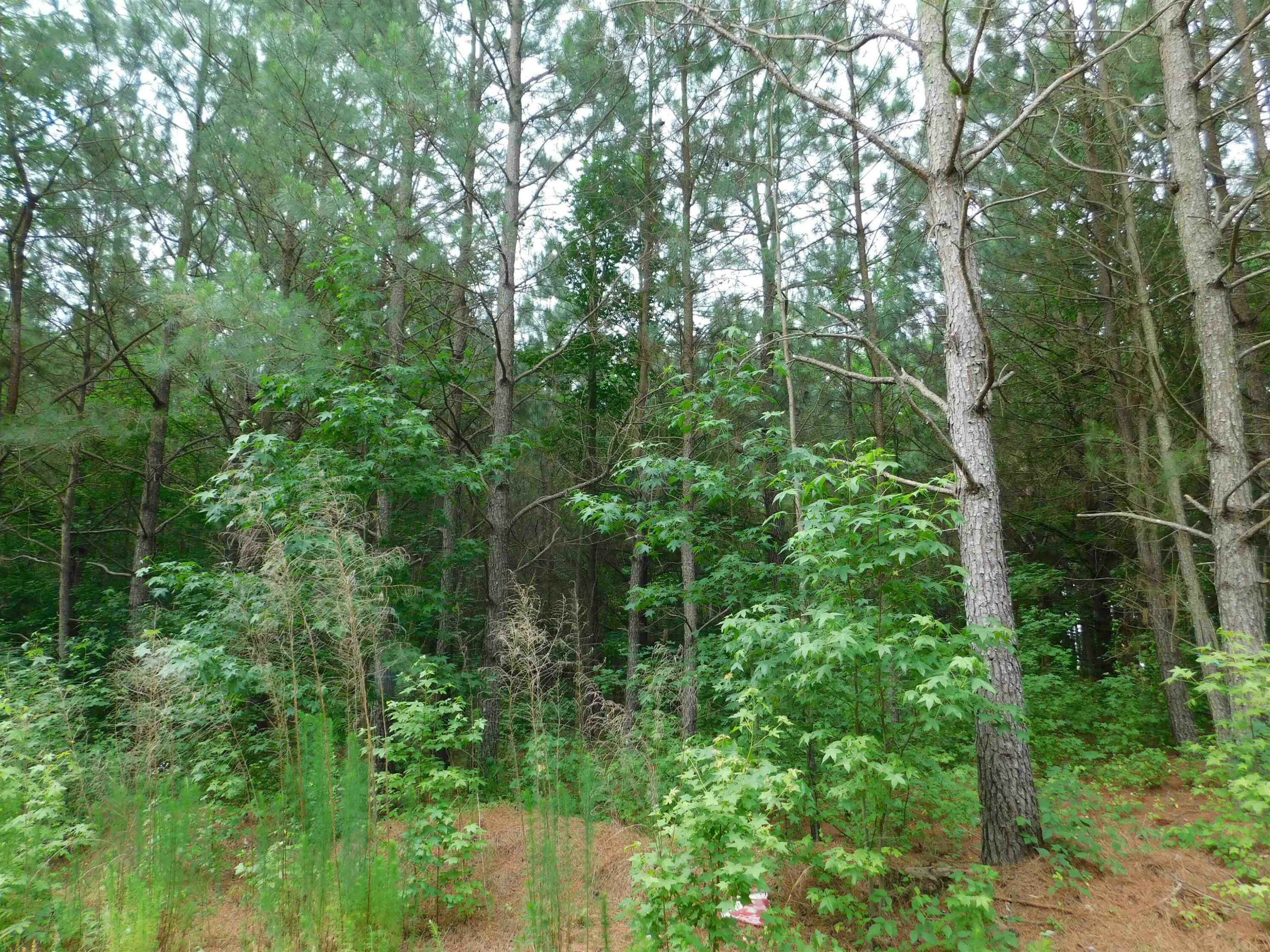 Property Photo:  10296 Nc 222 Highway  NC 27557 