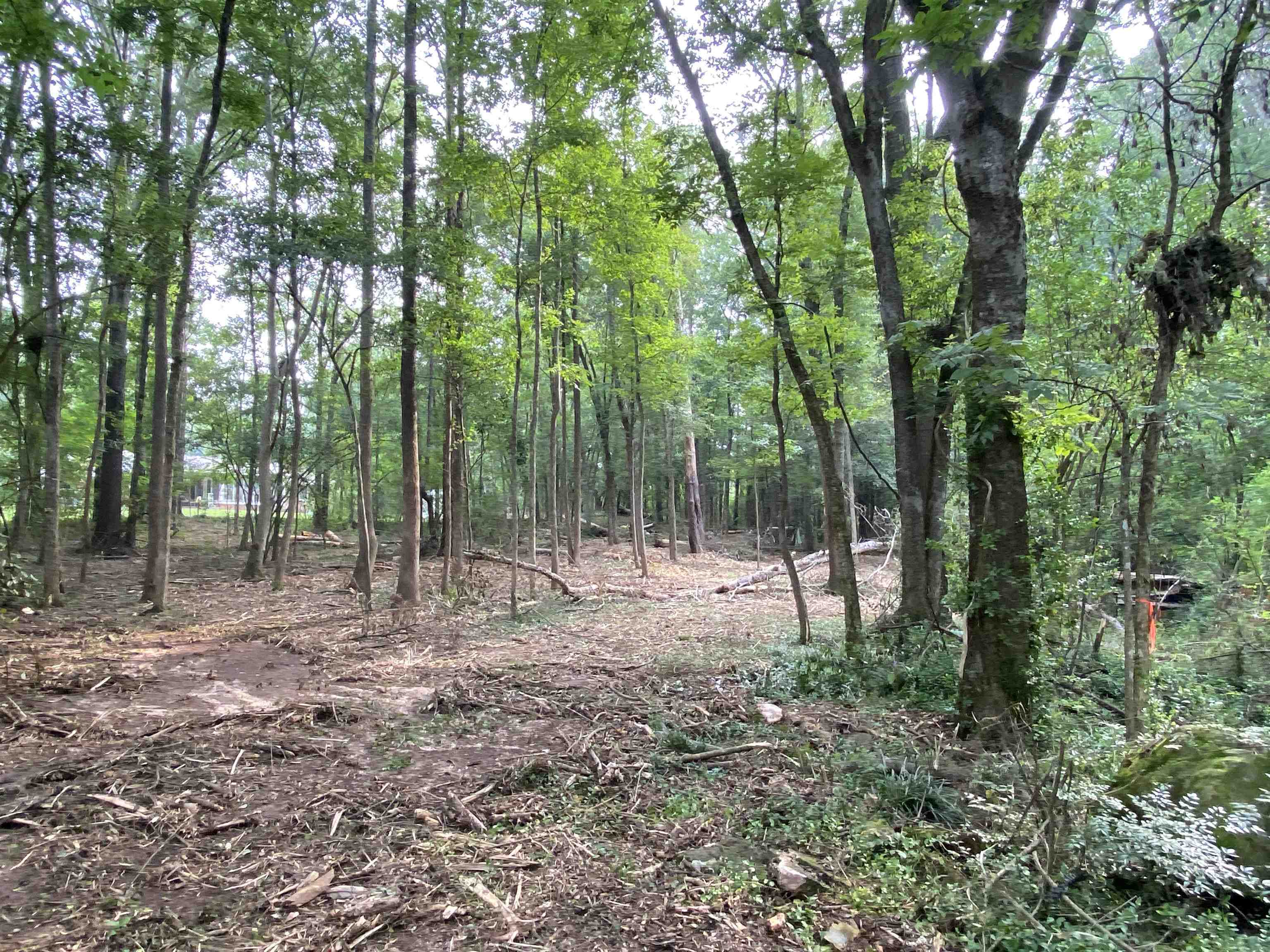 Property Photo: Lot 27 Spruce Lane GA 31024