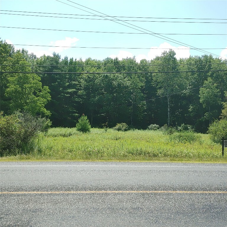 Property Photo:  00 State Hwy 206  NY 13778 