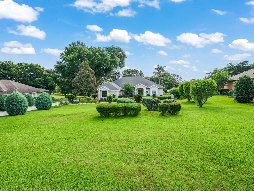 Property Photo:  39336 Treeline Drive  FL 32159 