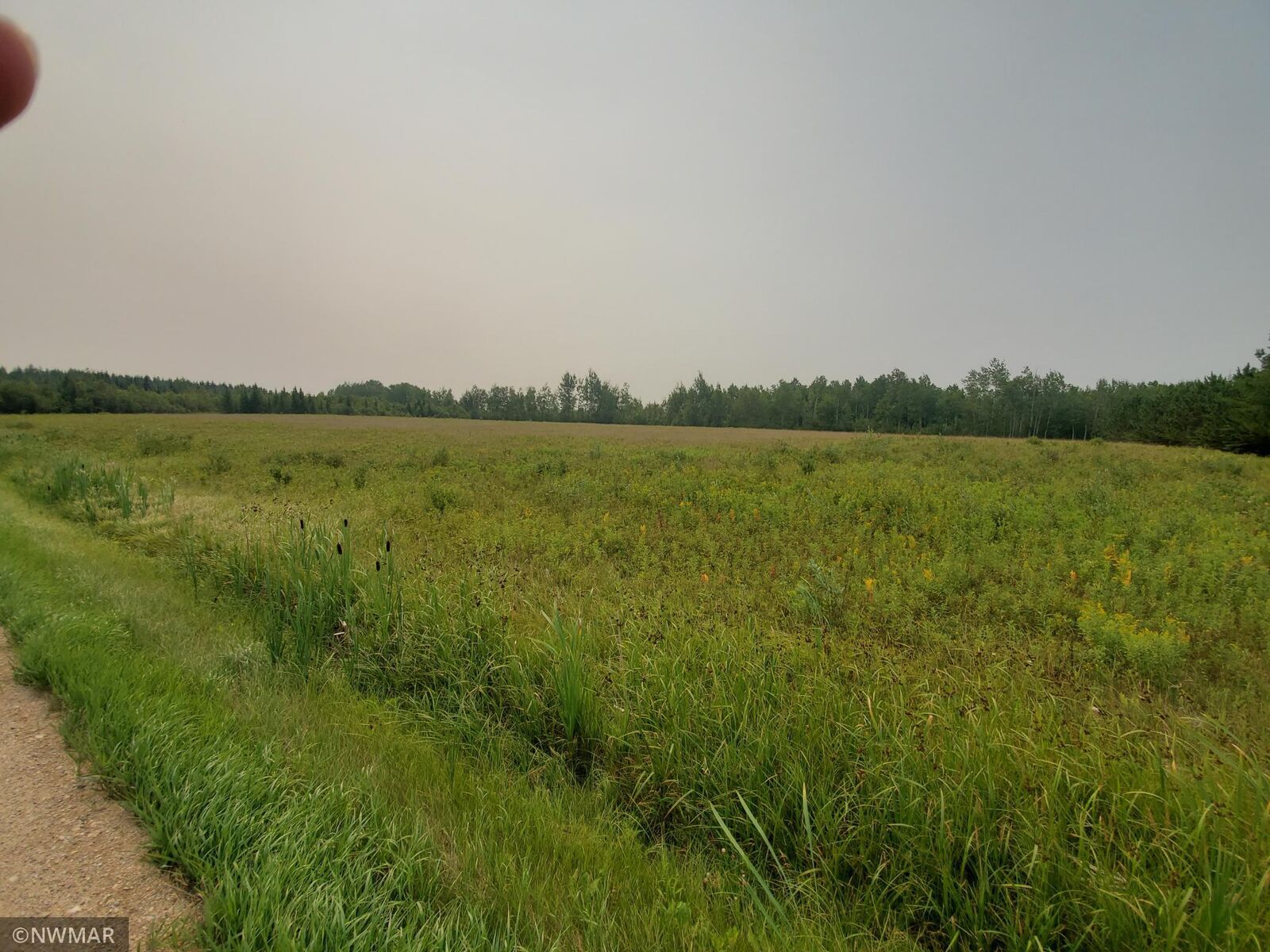 Property Photo: Tbd Kelliher Road MN 56650