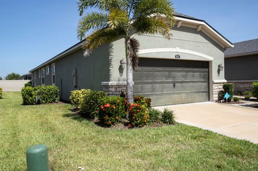 Property Photo:  10329 Holstein Edge Place  FL 33569 