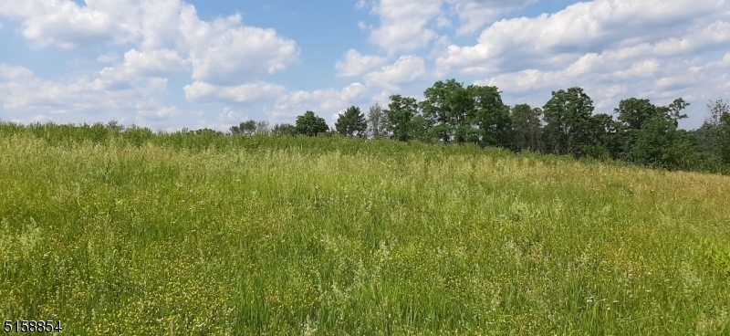 Property Photo: 147 Talmage Rd NJ 07945