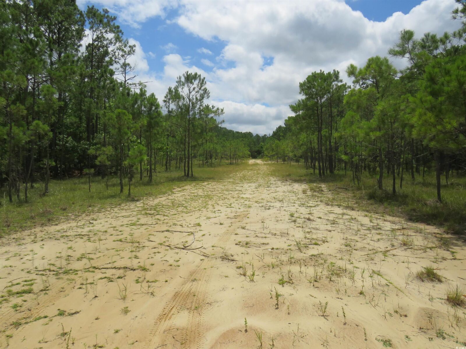 Property Photo: T.b.d. Eva Rd. SC 29566