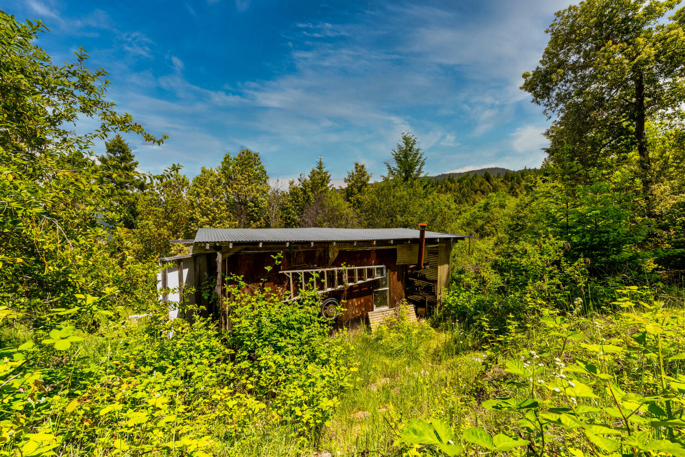 Property Photo:  1245 Iron Gate Road  CA 95546 