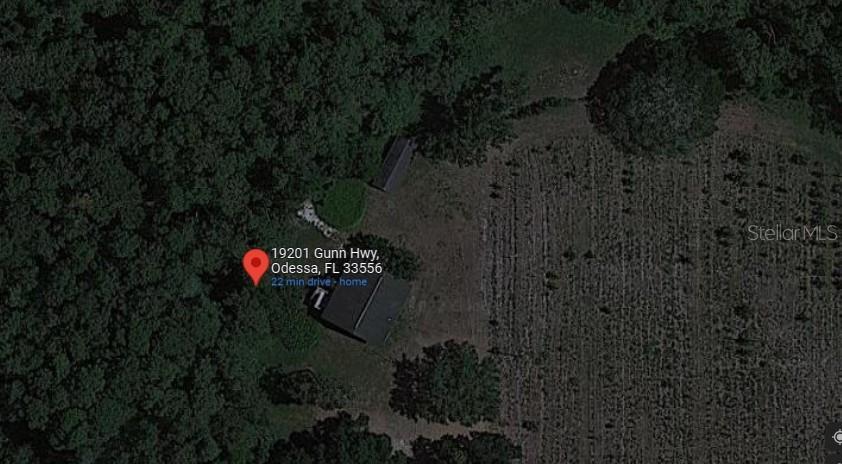Property Photo: 19201 Gunn Highway FL 33556