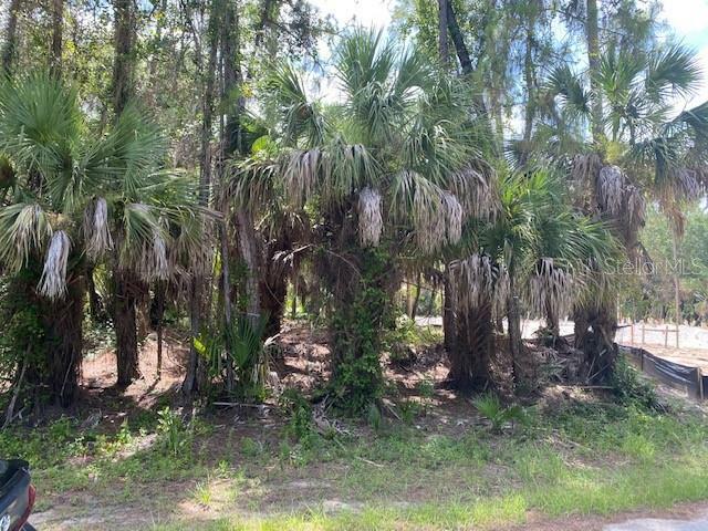 Property Photo:  Blueberry Road  FL 34288 