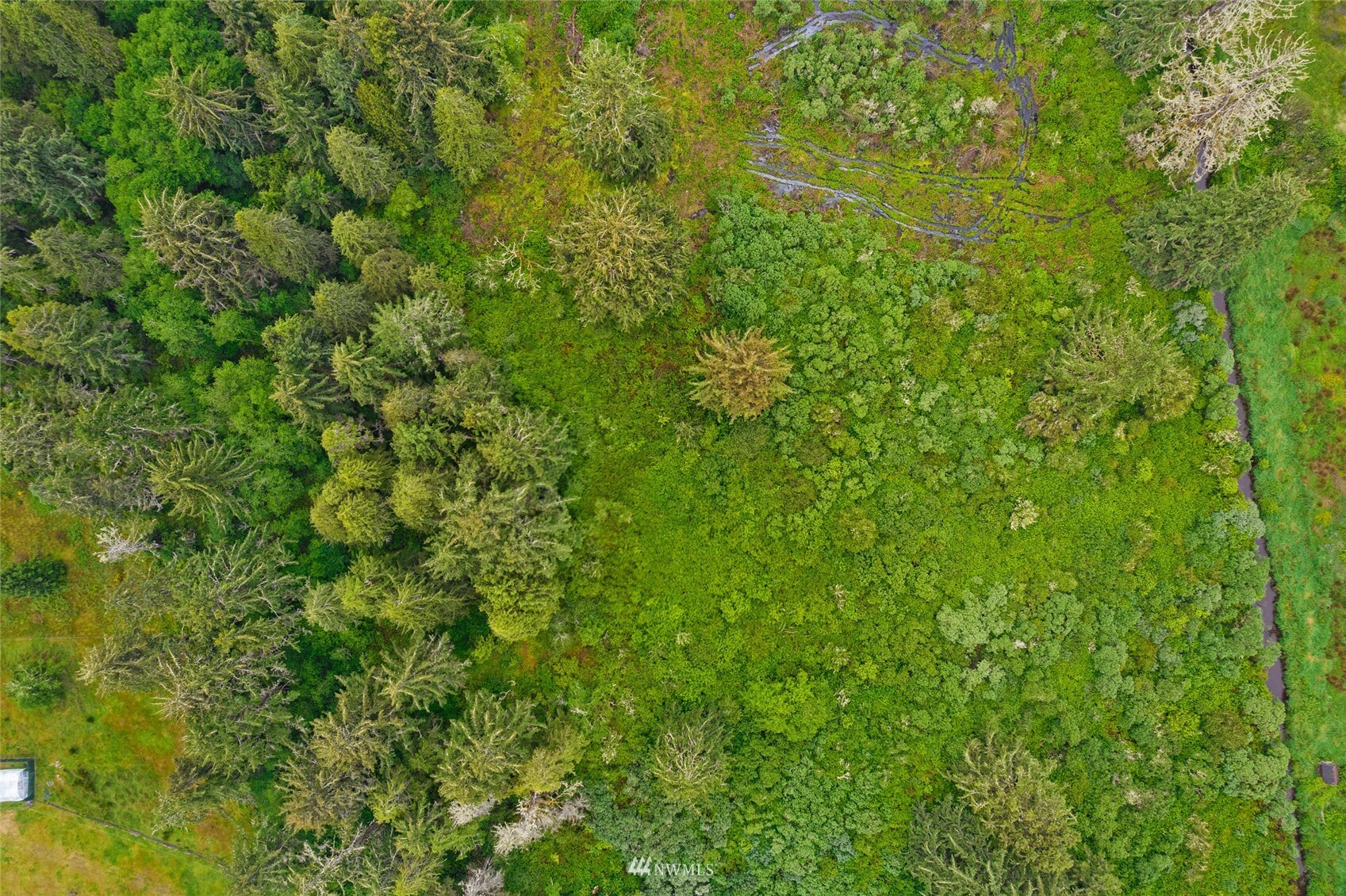 Property Photo:  0 X Cranberry Fields Tr 44  WA 98547 