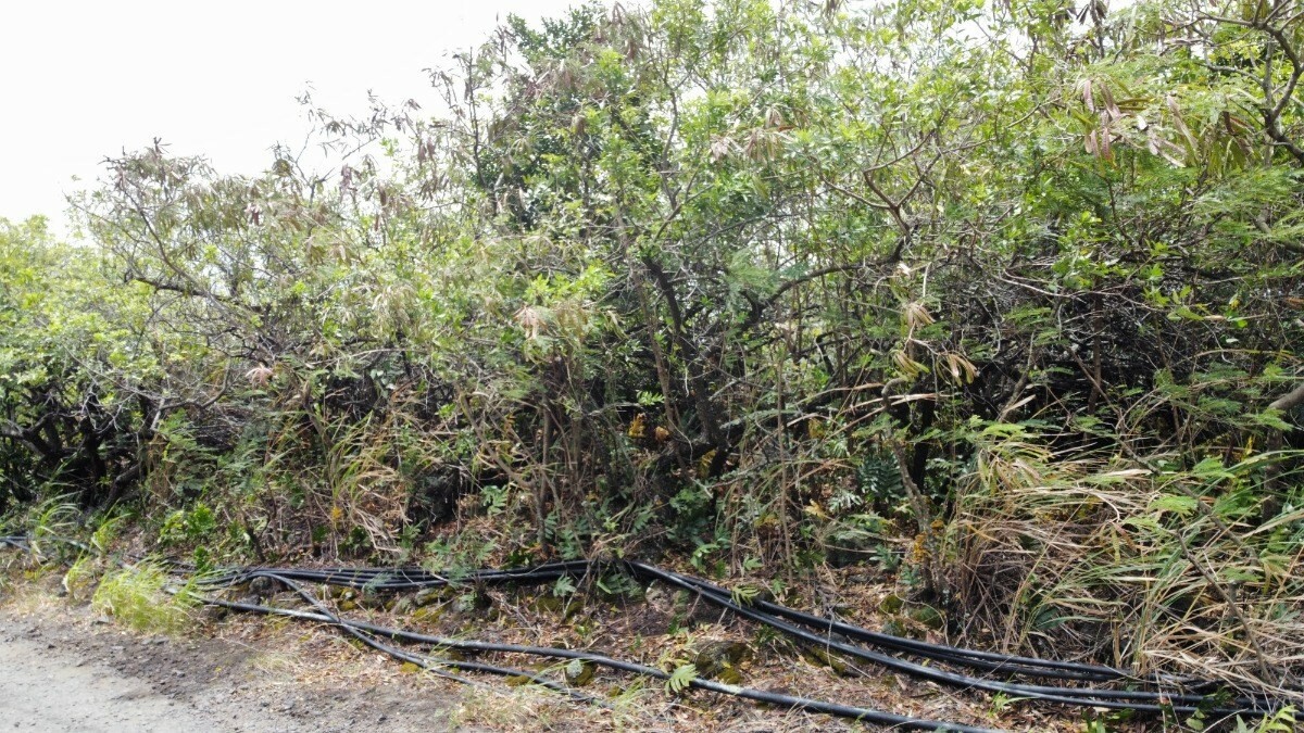Property Photo:  Mark Twain Estates  HI 96772 