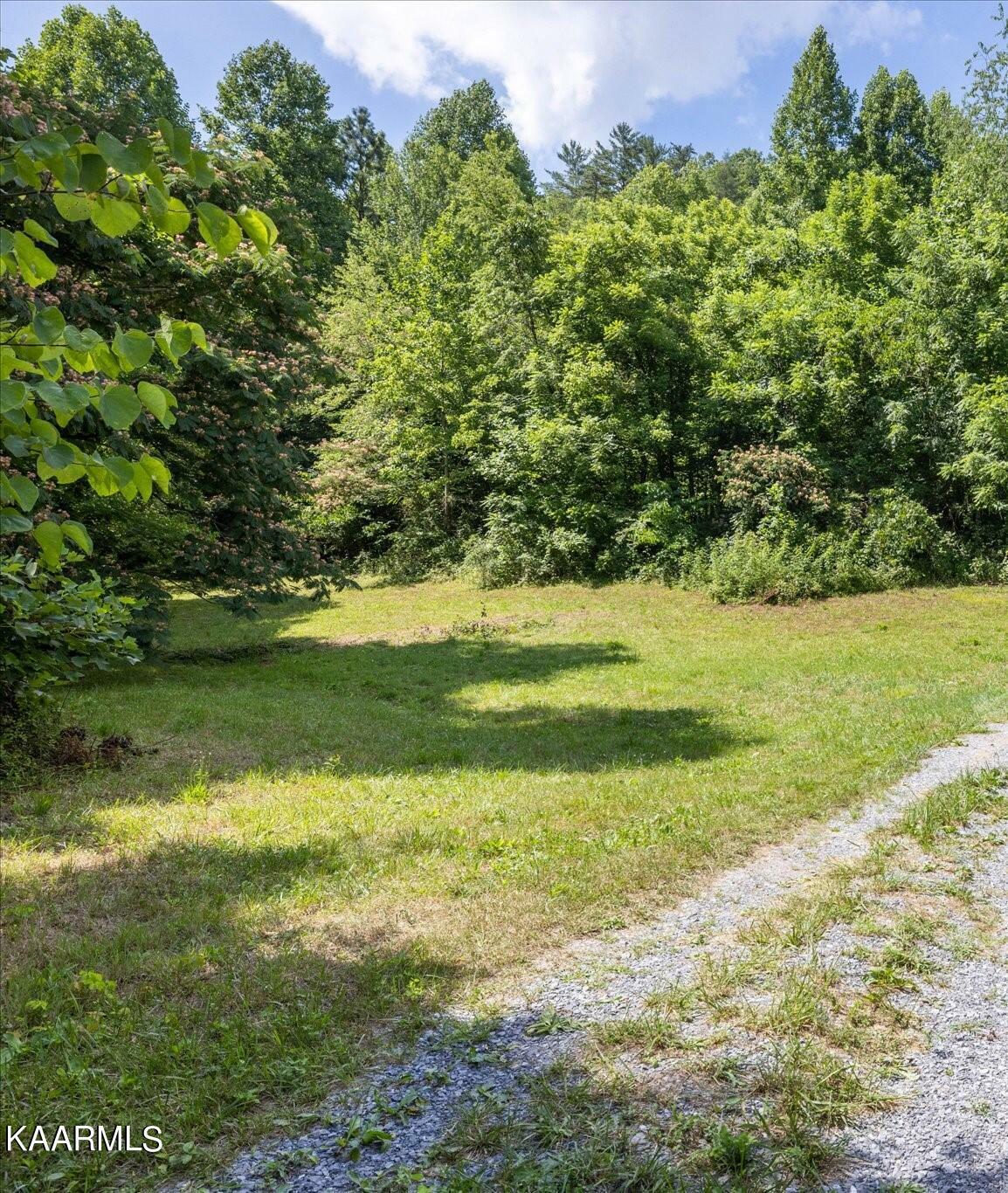 Property Photo:  Henry Town Road Lot 3  TN 37876 