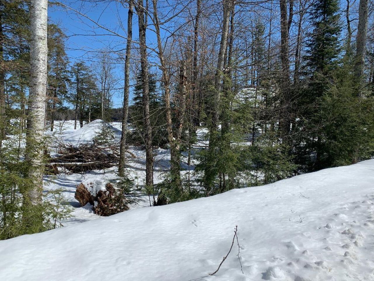 Property Photo:  5056N Stafford Point Rd  WI 54547 