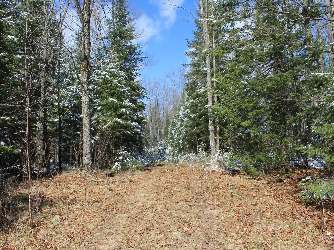 Property Photo:  Off Hwy 182 Parcel B  WI 54552 