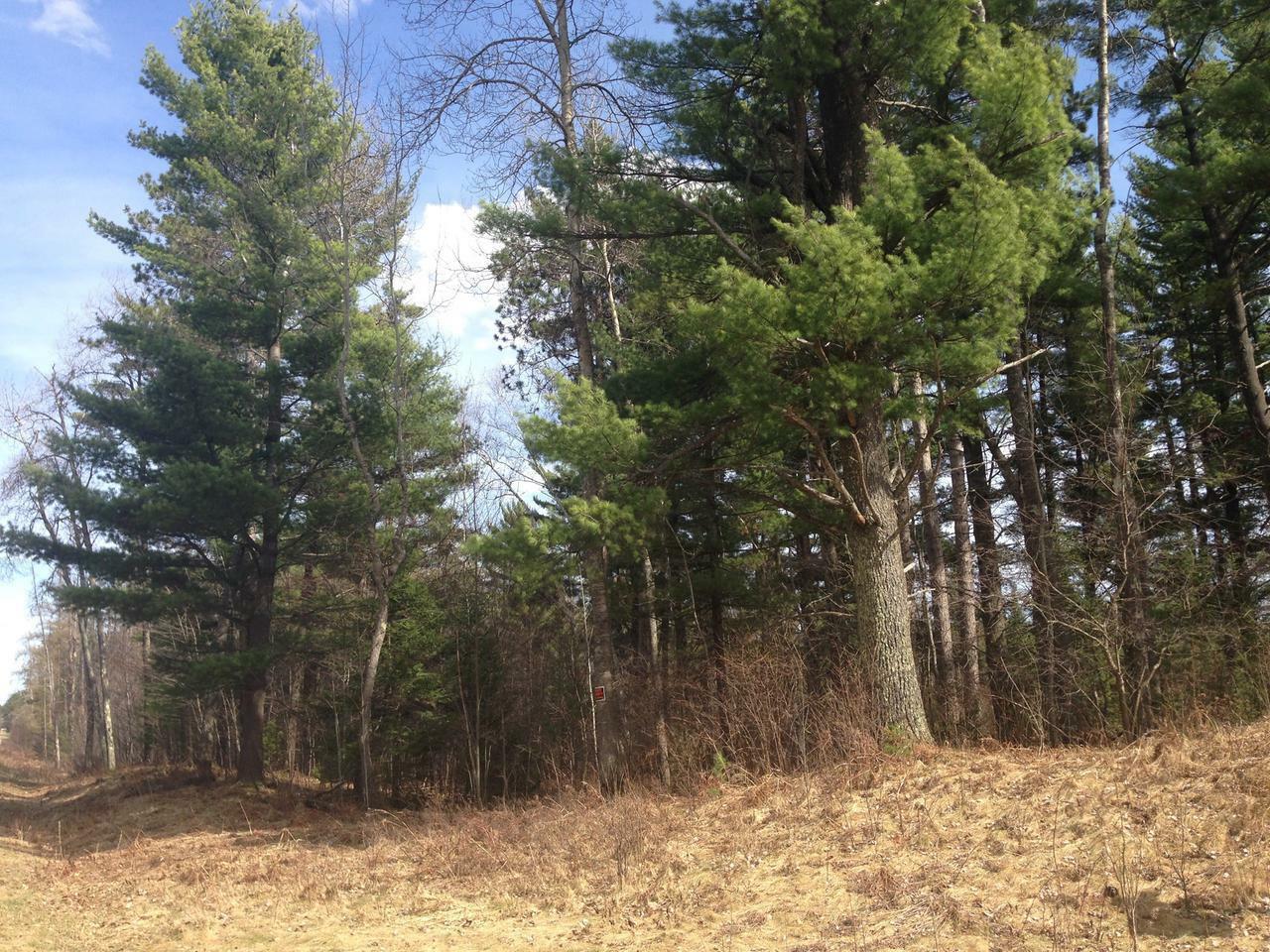 Property Photo:  On Muskellunge Lk Rd  WI 54487 