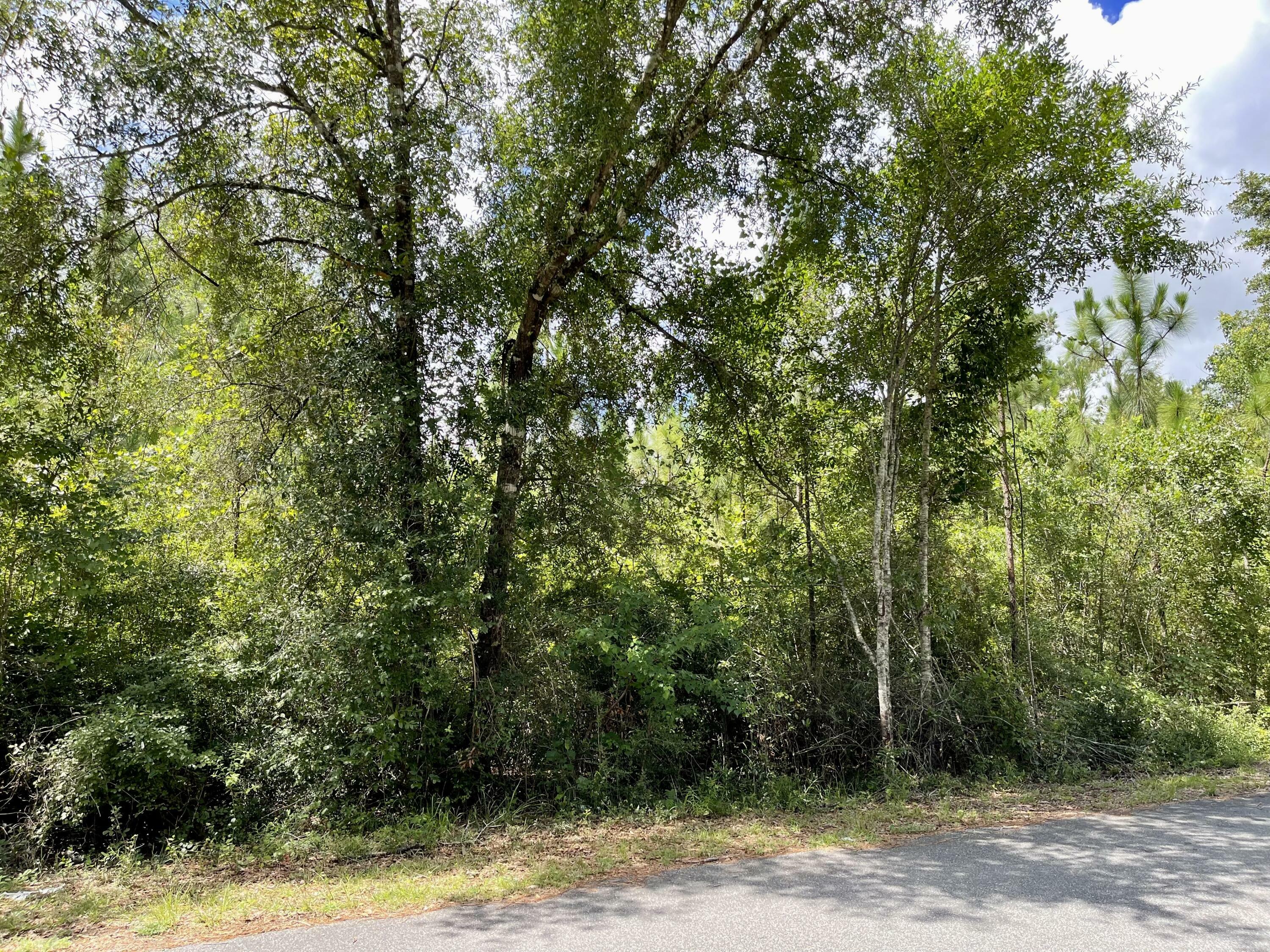 Property Photo:  Lot Xx Pinewoods Drive  FL 32539 