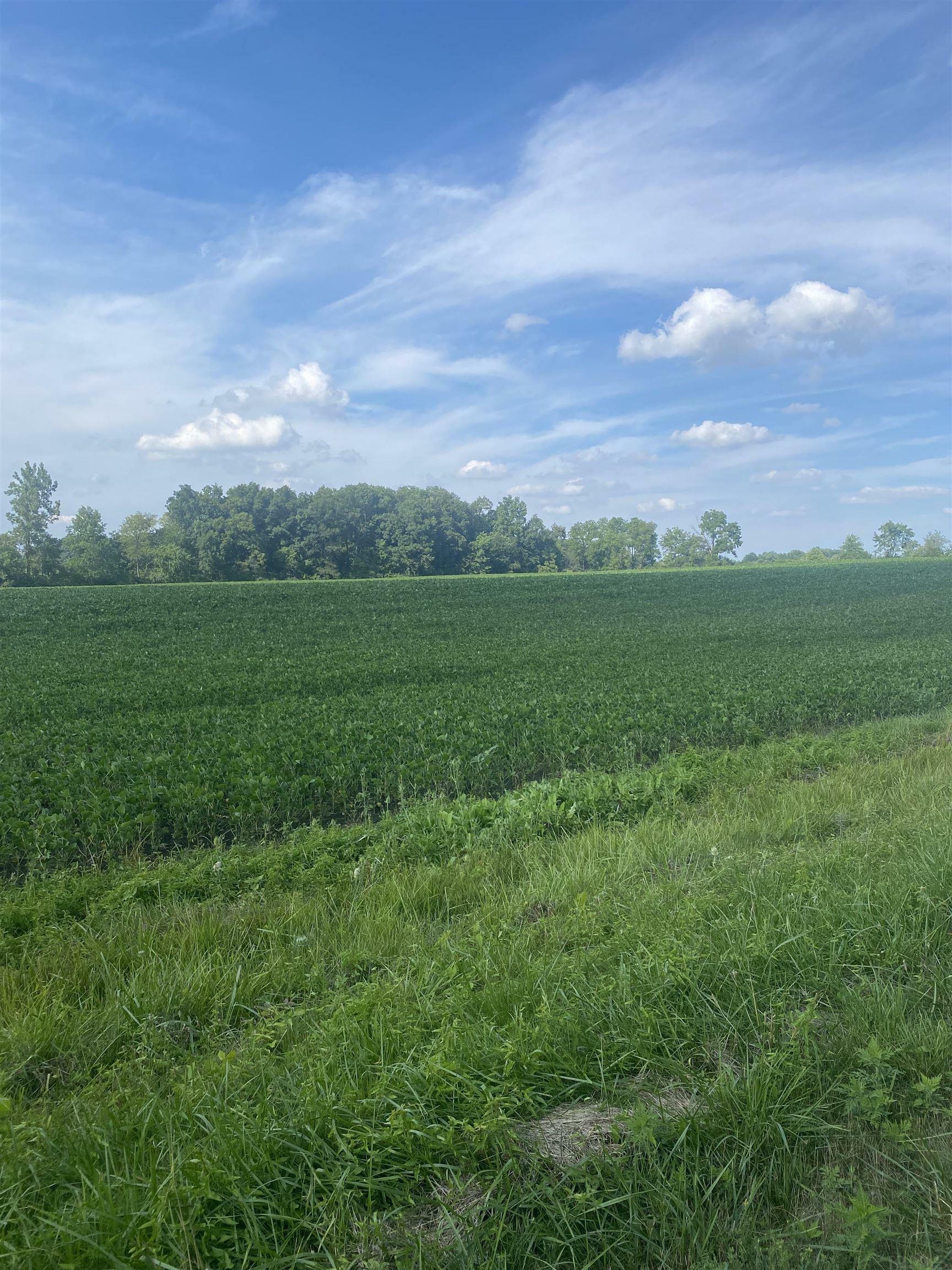 Property Photo: Tbd Kress Road IN 46783