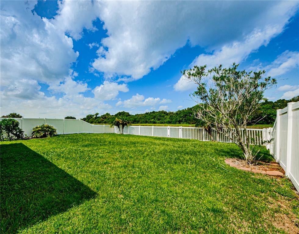 Property Photo: 12925 Bridleford Drive FL 33534